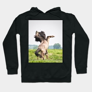 Horses don't usually fight over grass Hoodie